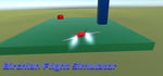 Birchian Flight Simulator steam charts