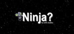 Ninja? steam charts