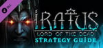 Iratus: Lord of the Dead - Illustrated Strategy Guide banner image