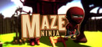 Maze Ninja steam charts