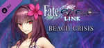 Fate/EXTELLA LINK - Beach Crisis banner image