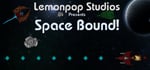 Space Bound steam charts