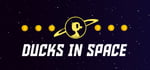 Ducks in Space banner image