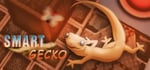 Smart Gecko banner image