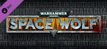 Warhammer 40,000: Space Wolf - Armour of the Deathwatch banner image