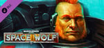 Warhammer 40,000: Space Wolf - Drenn Redblade banner image