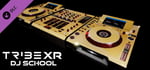 Special Edition DJ Trix Gold Decks banner image