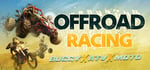 Offroad Racing - Buggy X ATV X Moto steam charts