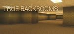 True Backrooms steam charts