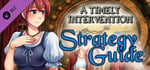 A Timely Intervention - Official Guide banner image