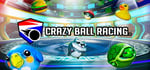 Crazy Ball Racing™ steam charts