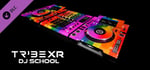 TribeXR - Rainbow Decks Skin banner image