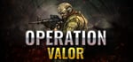 Operation Valor steam charts