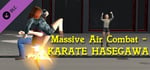 Massive Air Combat - KARATE HASEGAWA banner image