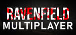Ravenfield: Multiplayer Mod steam charts