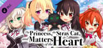 Concept Design of  anime - The Princess, the Stray Cat, and Matters of the Heart banner image
