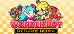 Wonder Boy Returns Remix steam charts