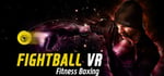 FIGHT BALL - BOXING VR steam charts