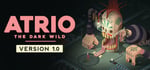 Atrio: The Dark Wild steam charts