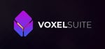 VoxelSuite steam charts
