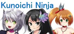 Kunoichi Ninja steam charts