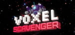 Voxel Scavenger steam charts