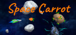 Space Carrot steam charts