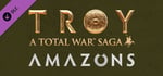 A Total War Saga: TROY - Amazons banner image