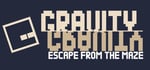 Gravity Escape From The Maze steam charts