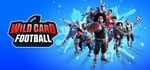 Wild Card Football banner image