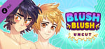 Blush Blush - 18+ Uncut DLC banner image