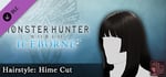 Monster Hunter World: Iceborne - Hairstyle: Hime Cut banner image