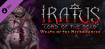 Iratus: Wrath of the Necromancer banner image