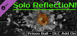 Prison Ball - Solo Reflection! - Add On banner image