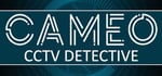 CAMEO: CCTV Detective steam charts