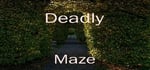 Deadly Maze steam charts