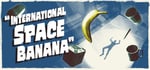 International Space Banana steam charts