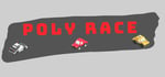 Poly Race steam charts