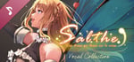 Salthe - Vocal Collection banner image