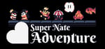 Super Nate Adventure steam charts