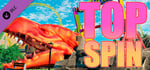 Top Spin Ride - Orlando Theme Park VR banner image