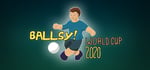 Ballsy! World Cup 2020 banner image