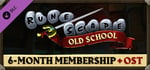 Old School RuneScape 6-Month Membership + OST banner image