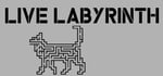 Live Labyrinth banner image