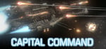 Capital Command steam charts