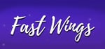 Fast Wings steam charts