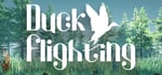 Duck Flight Simulator 2021 steam charts