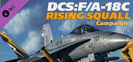 DCS: F/A-18C Rising Squall Campaign banner image