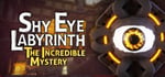 Shy Eye Labyrinth: The Incredible Mystery steam charts