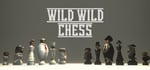Wild Wild Chess steam charts